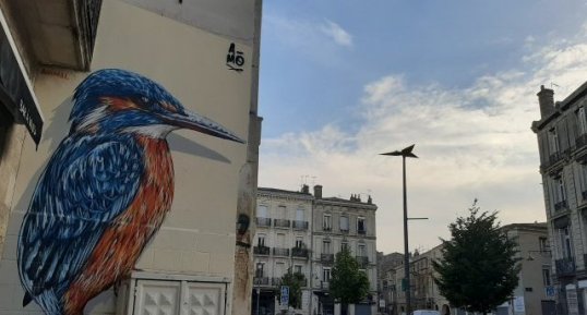Street Art - martin pêcheur d'Europe