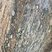 Flysch