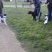 Promeneurs chiens parc