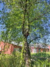 Observatoire sauvage