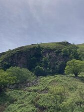 Falaise aux vautours