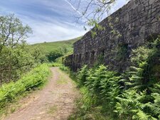 Vestige de la mine 1