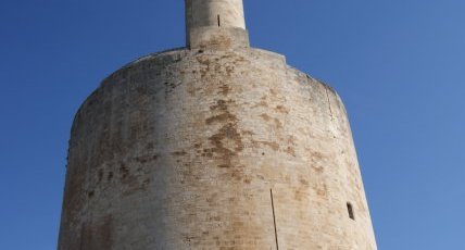 La tour de Constance (2)
