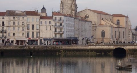 Volatiles admirant le vieux port de La Rochelle