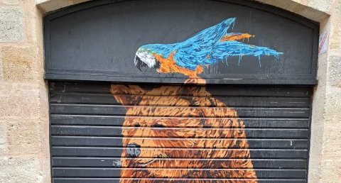 Street Art - Ours + Ara bleu - Bordeaux