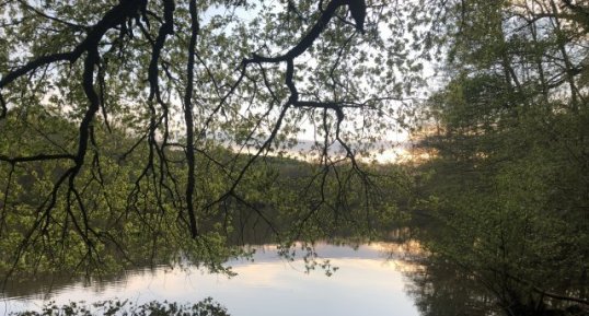 L'étang des Vaux de Cernay