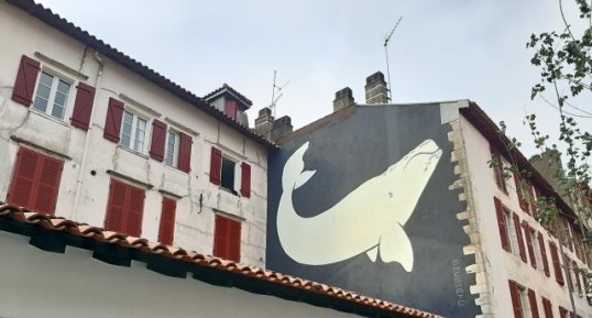 La baleine de Bayonne de jour